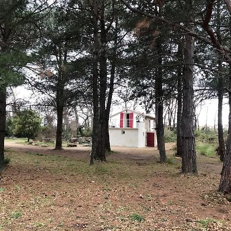 Le Cabanon De Vally Hébergement de vacances Caromb